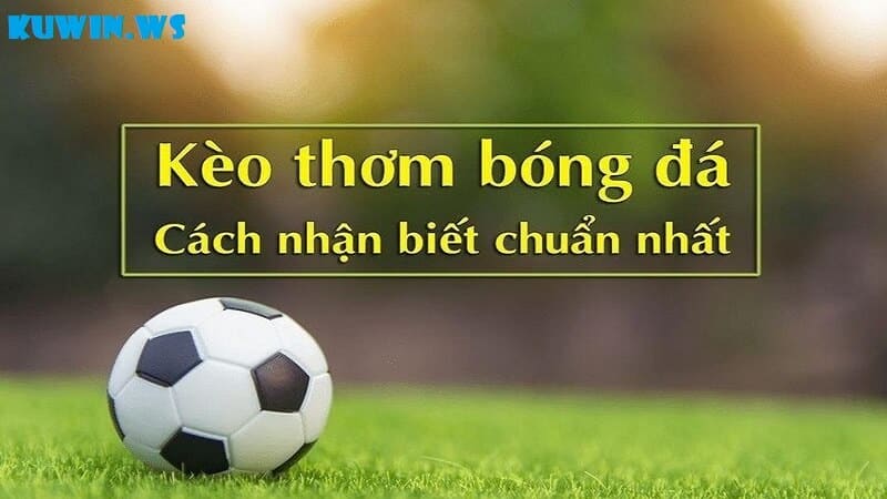 Hướng dẫn cách dự đoán kèo thơm